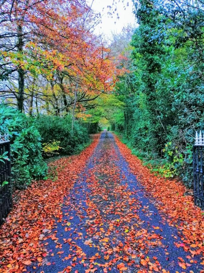 O'Harabrook Country House Ballymoney Luaran gambar