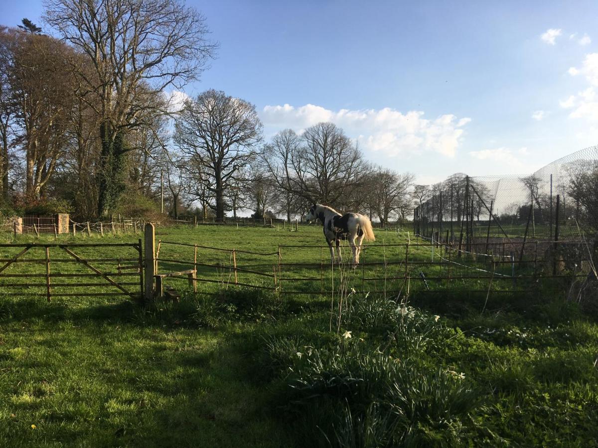 O'Harabrook Country House Ballymoney Luaran gambar