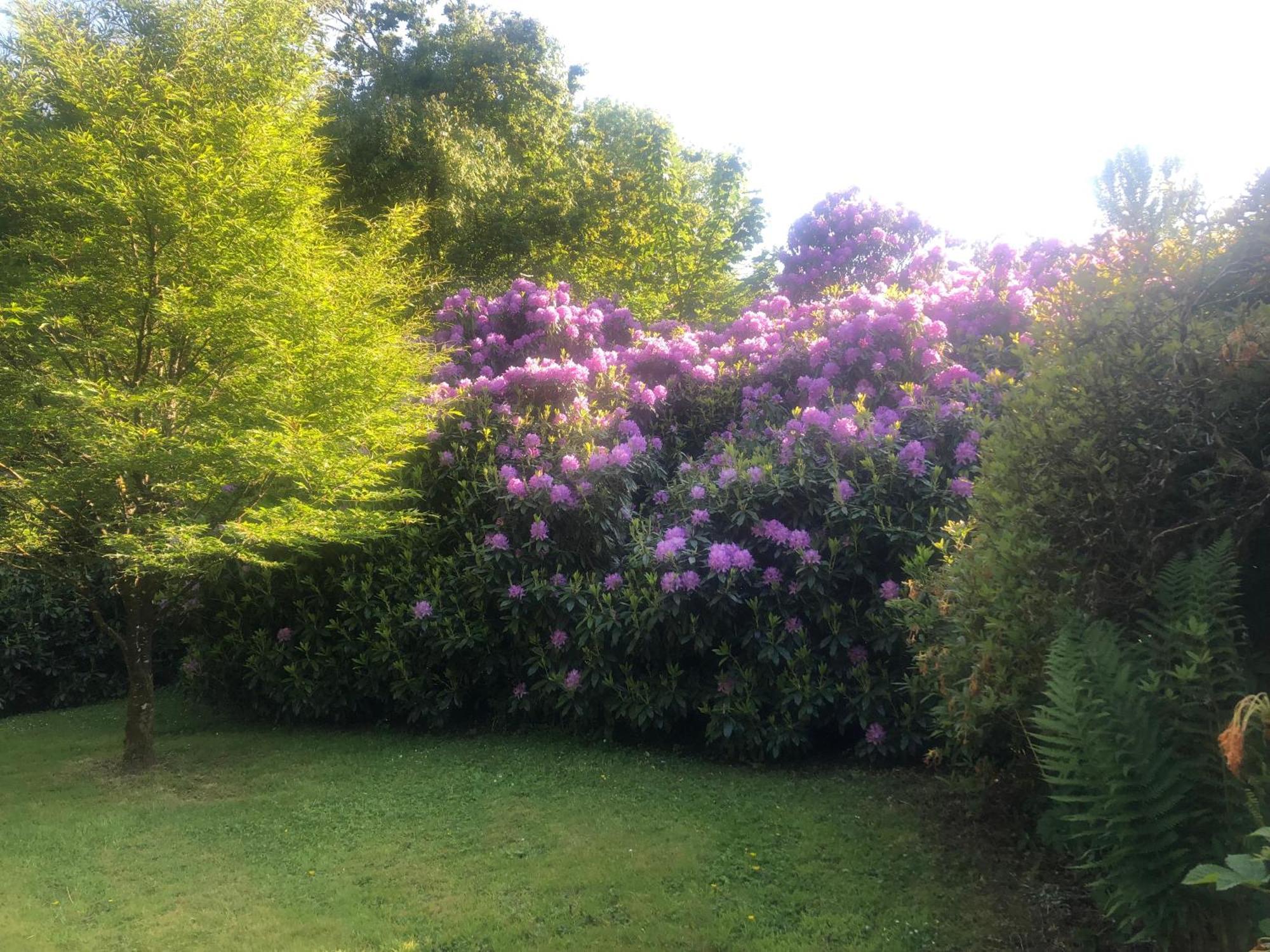 O'Harabrook Country House Ballymoney Luaran gambar